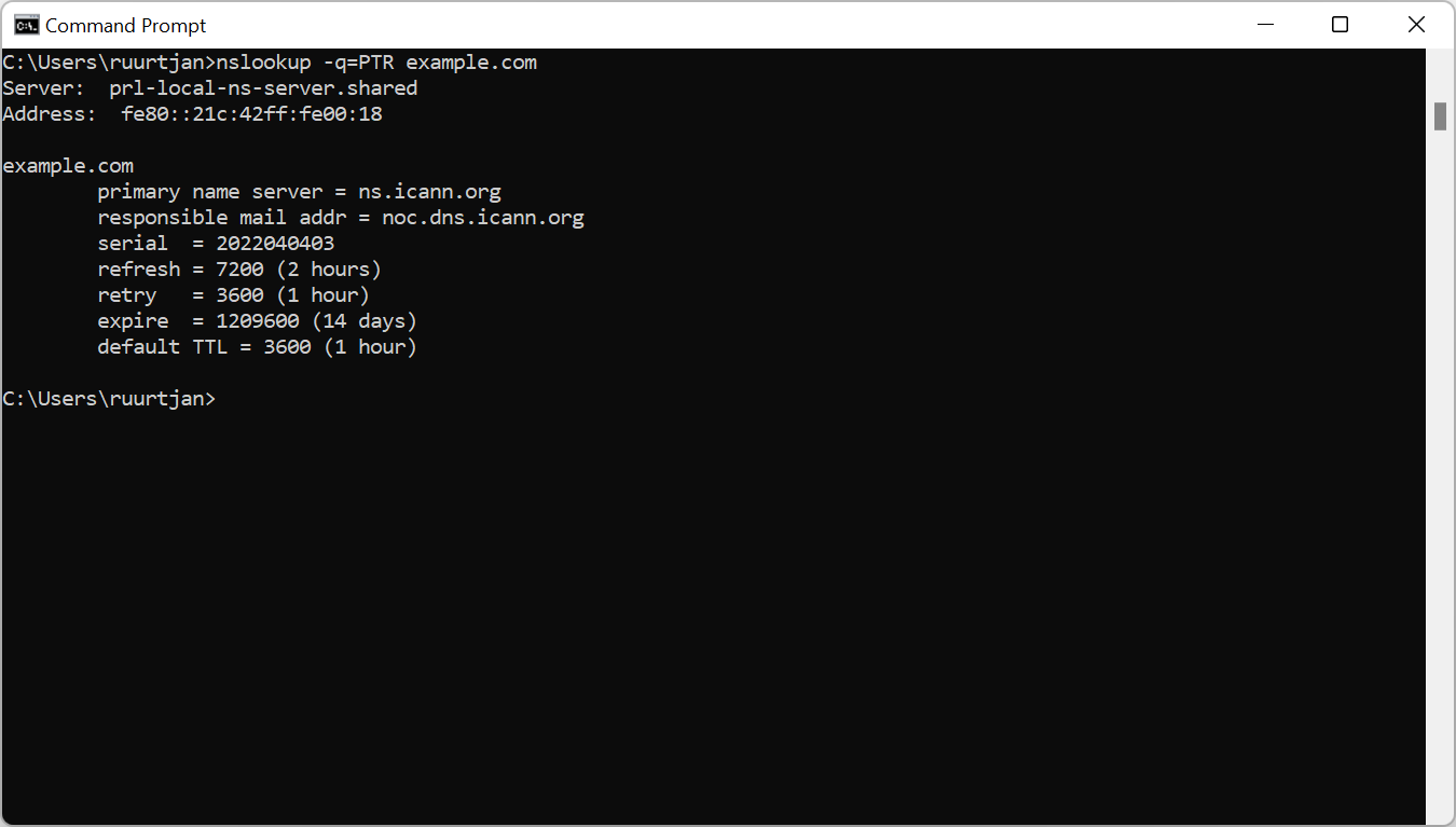 PTR lookup in Windows